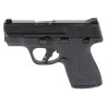 Smith & Wesson M&P Shield Plus Bundle Micro-Compact 9mm, 3.10" Black 6 13rd Mags & Bag
